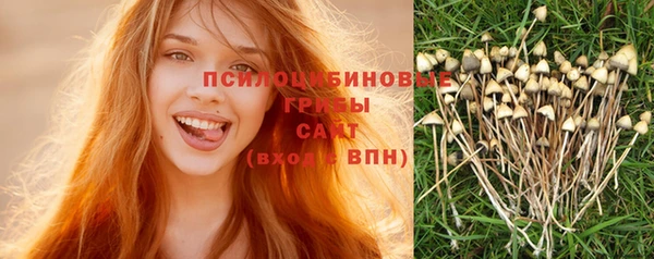 СК Алексеевка