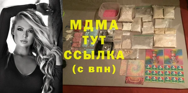 хмурый Ельня