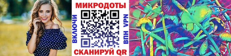 закладка  Любим  Галлюциногенные грибы Cubensis 